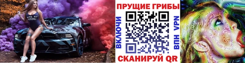 купить  сайты  Фёдоровский  Псилоцибиновые грибы Magic Shrooms 